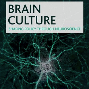 Brain Culture book cover thumbnail